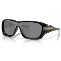 OAKLEY DE LA SALLE PRIZM 色控科技