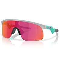 OAKLEY RESISTOR (YOUTH FIT) 青少年版型 PRIZM 色控科技 棒球專用