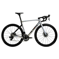 DE ROSA FRAME 70 - SILVER (車架)