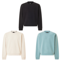 SOHO GEN CREWNECK SWEATSHIRT大學T 