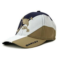 OAKLEY SKULL HYBRID CAP 15.0 FW 日本限定版